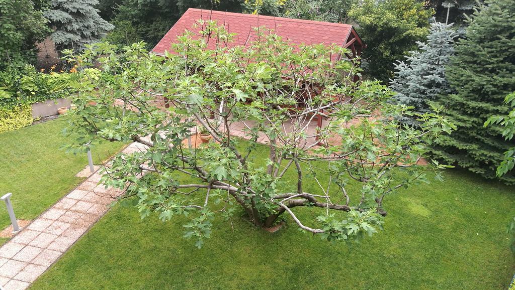 Fig Tree House Budapest Eksteriør billede