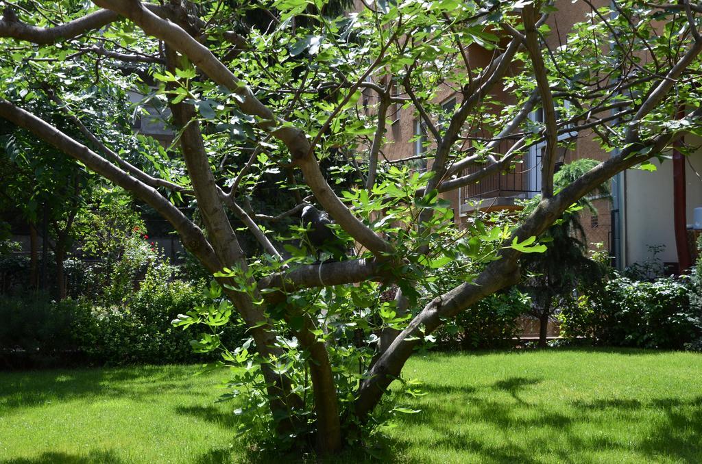 Fig Tree House Budapest Eksteriør billede