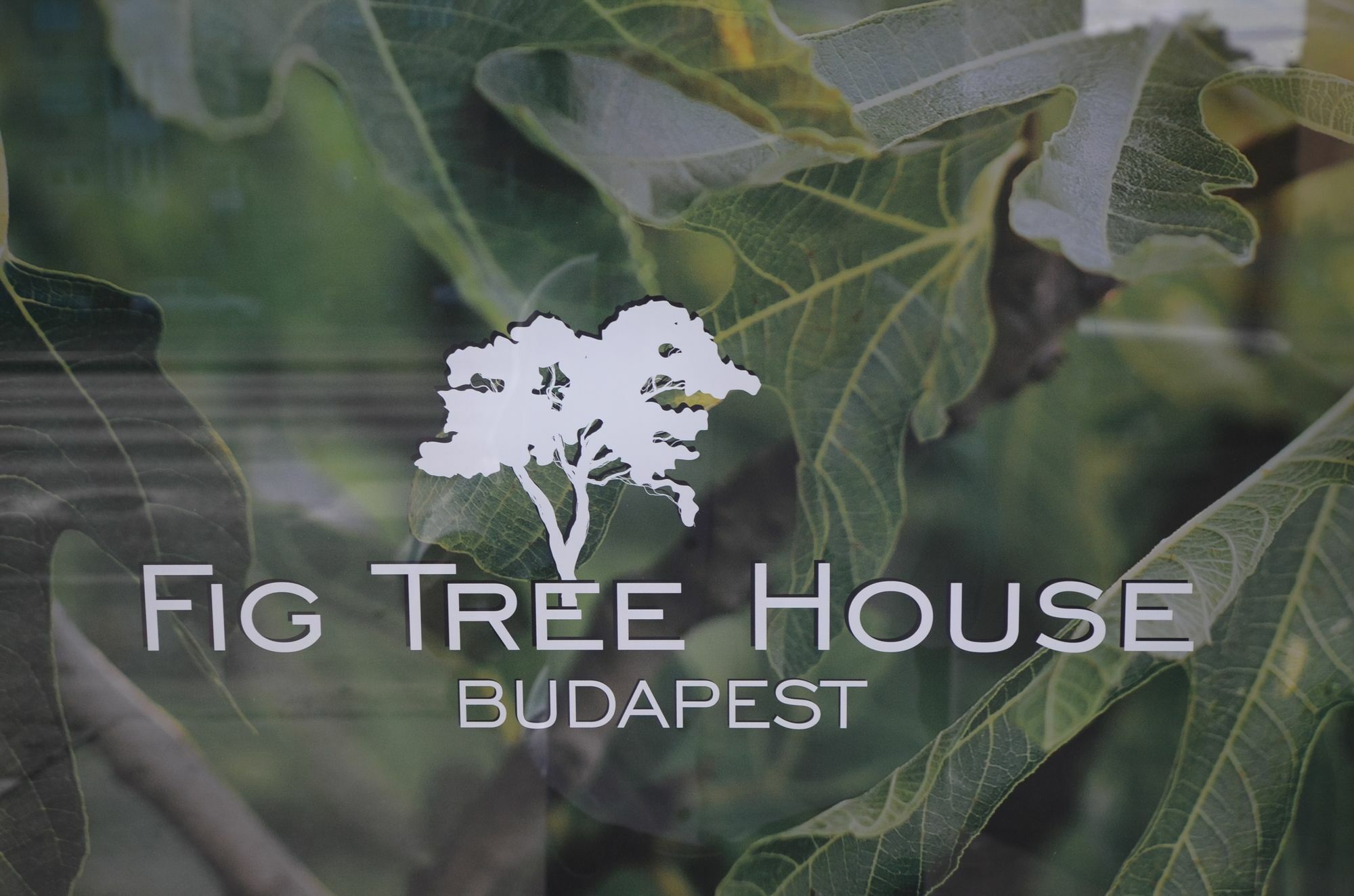 Fig Tree House Budapest Eksteriør billede
